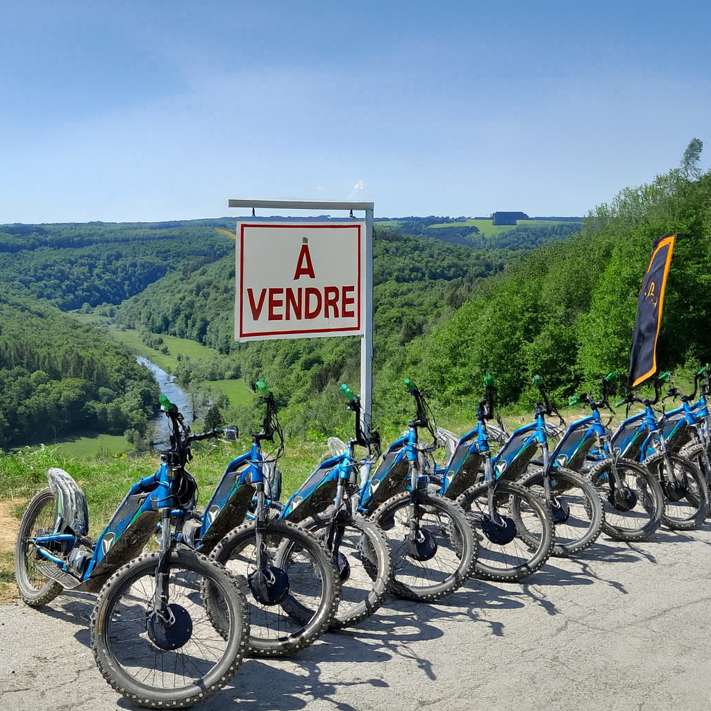 Entreprise de balades en trottinettes électriques 