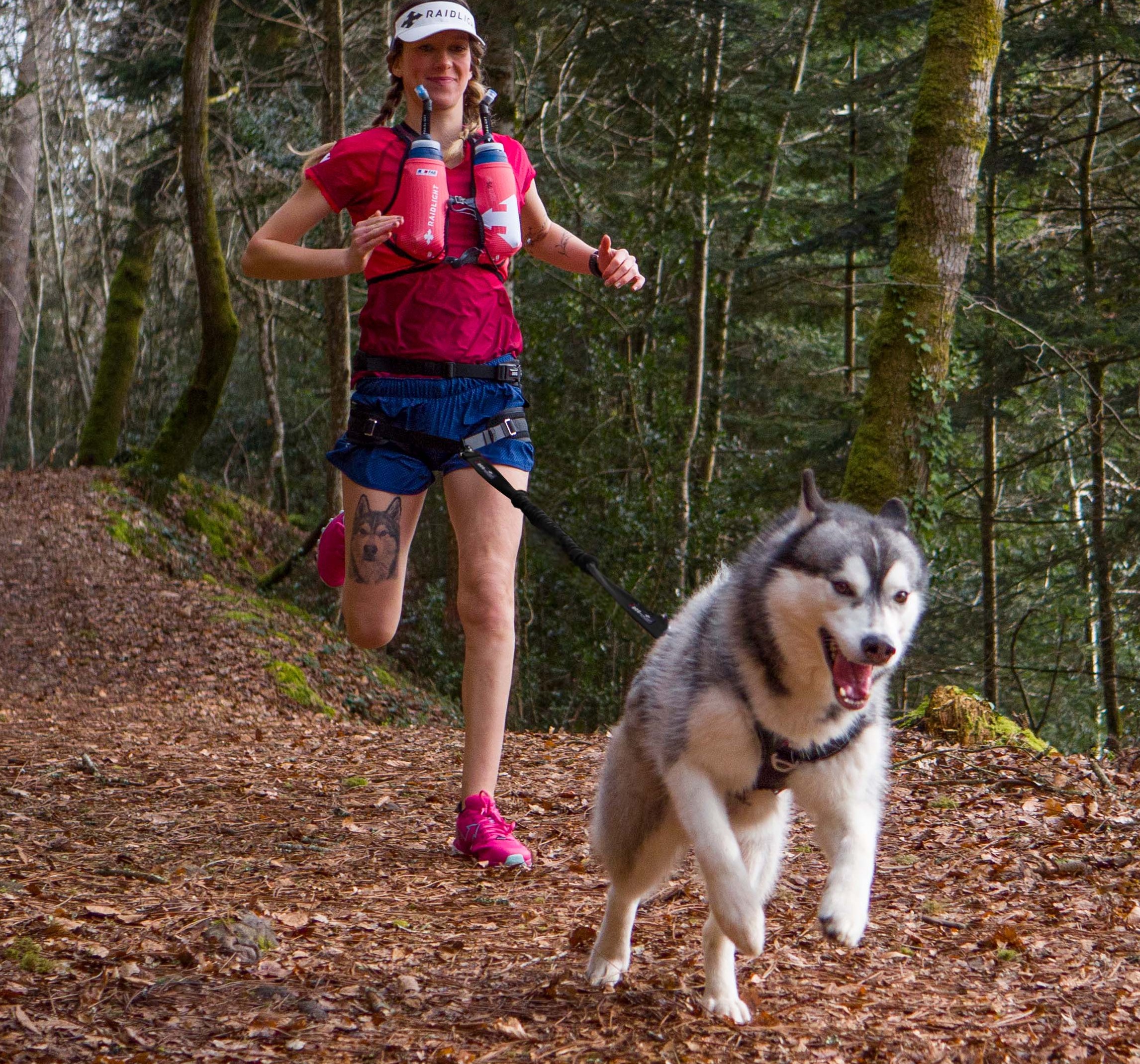À vendre : activité e-commerce spécialisée dans les sports canins
